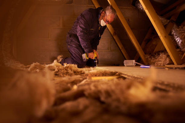 Best Energy Efficiency Insulation in Davenport, FL